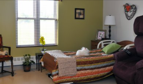 A neatly made bed with a striped quilt is against a green wall beside a large window. A white cat is lying on the bed. There are plants, a chair, and a lamp in the room.