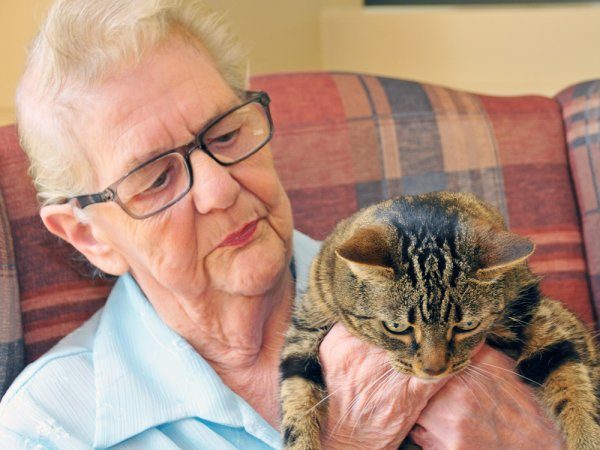An elderly woman wearing glasses holds a tabby cat while sitting on a patterned chair.