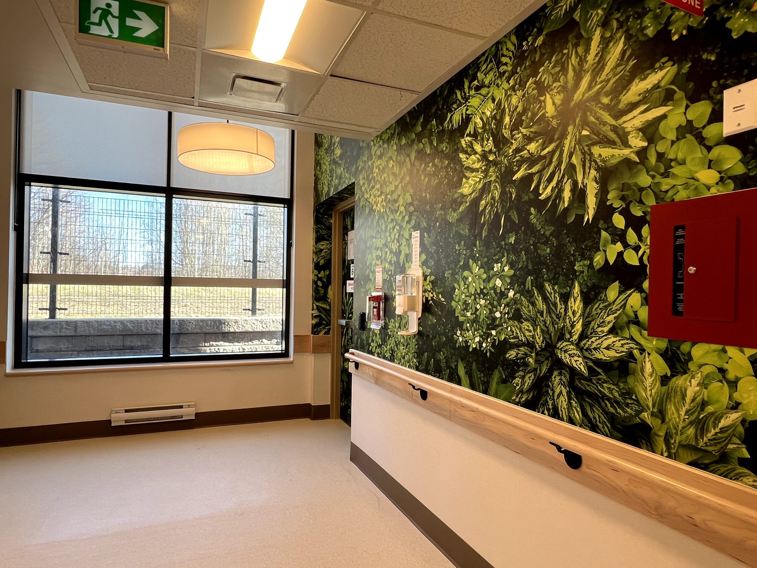 A hallway at Extendicare Beauclaire features a large window, wall-mounted fire extinguisher, emergency exit sign, handrail, and a mural of green plants.